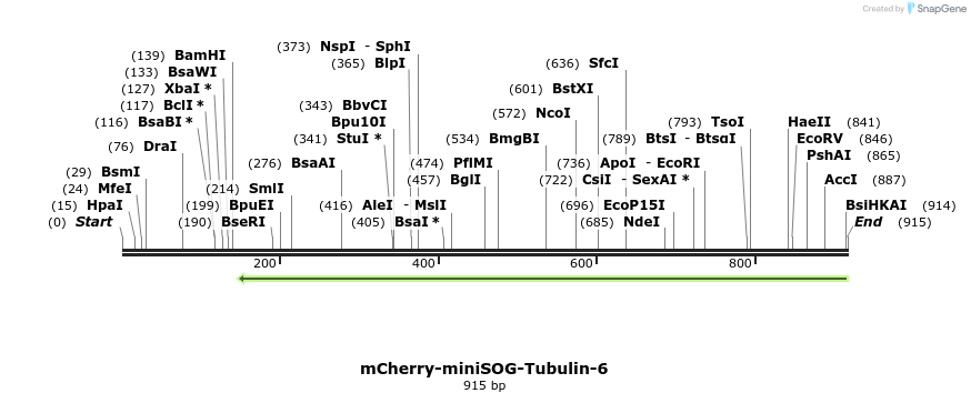 107821_map