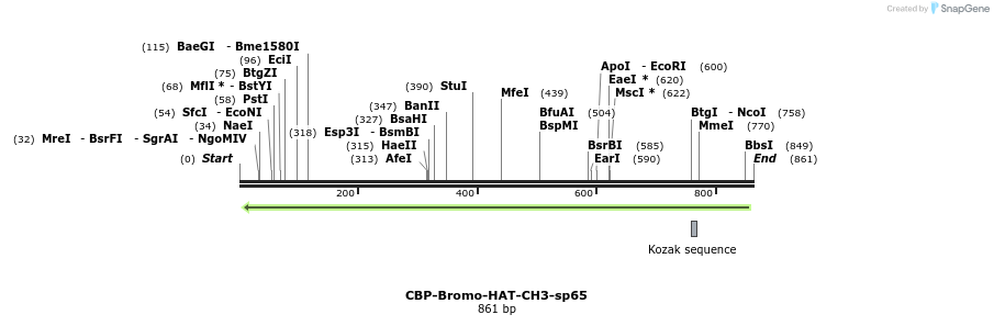107824_map