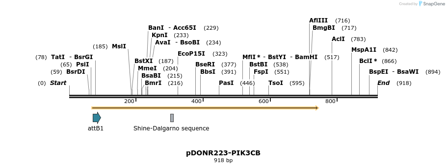10783_map