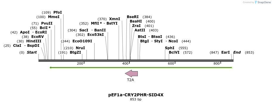 107831_map