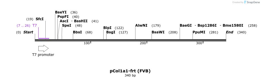 107832_map