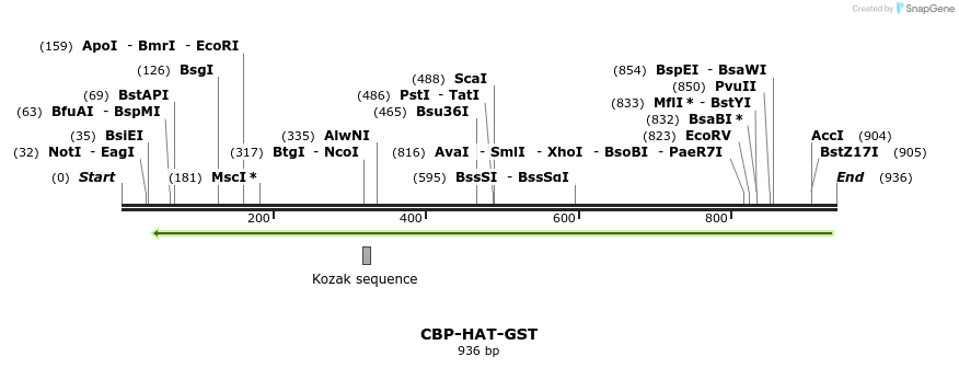107833_map