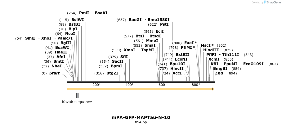 107835_map