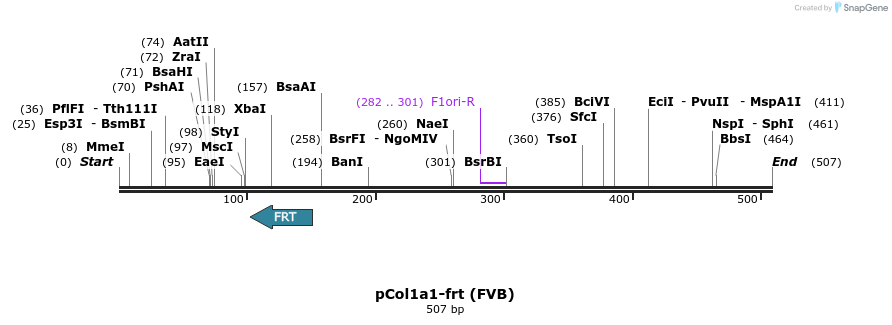 107839_map