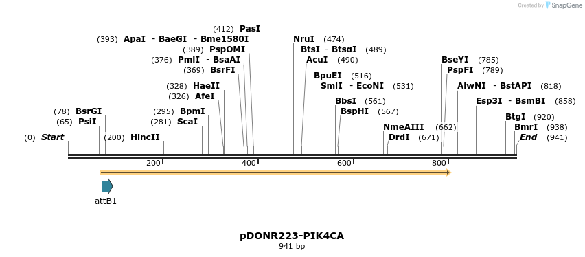 10784_map