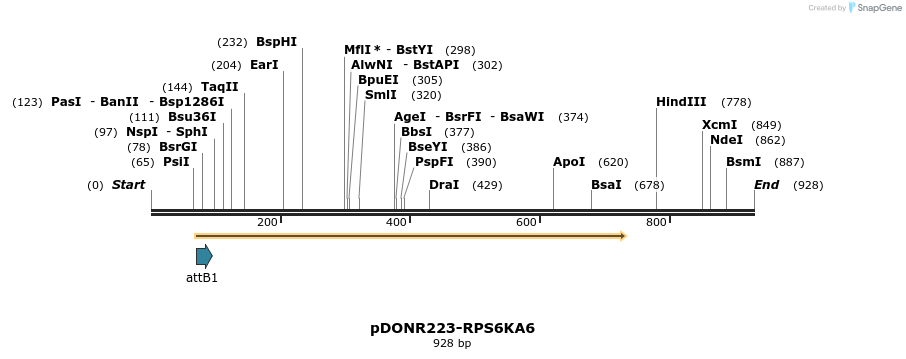 10785_map