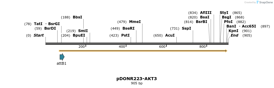 10786_map