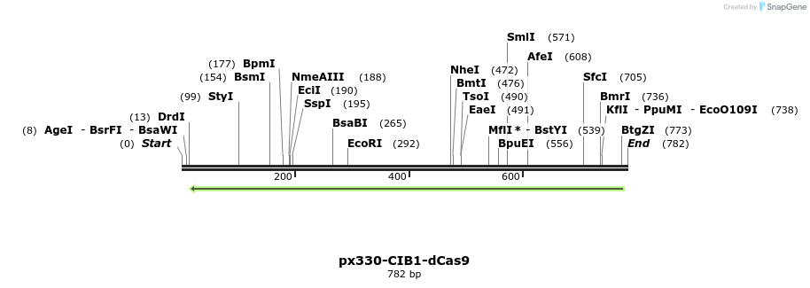107861_map