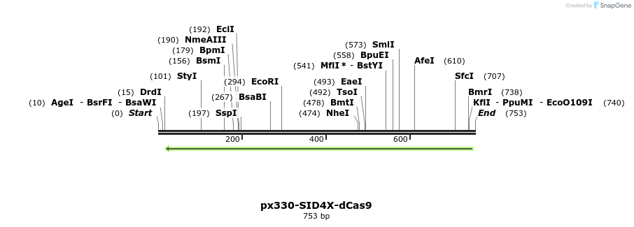 107862_map