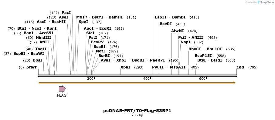 107866_map