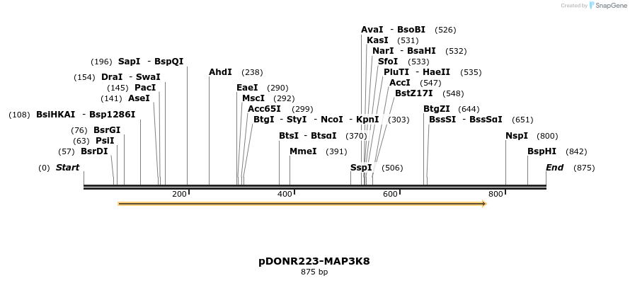10787_map