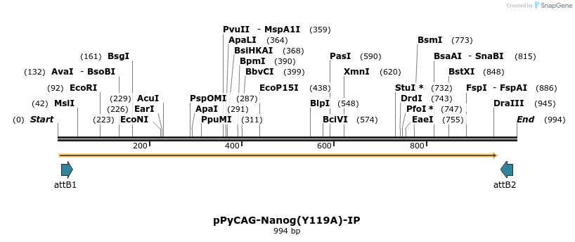 107873_map