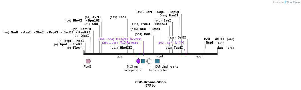107880_map