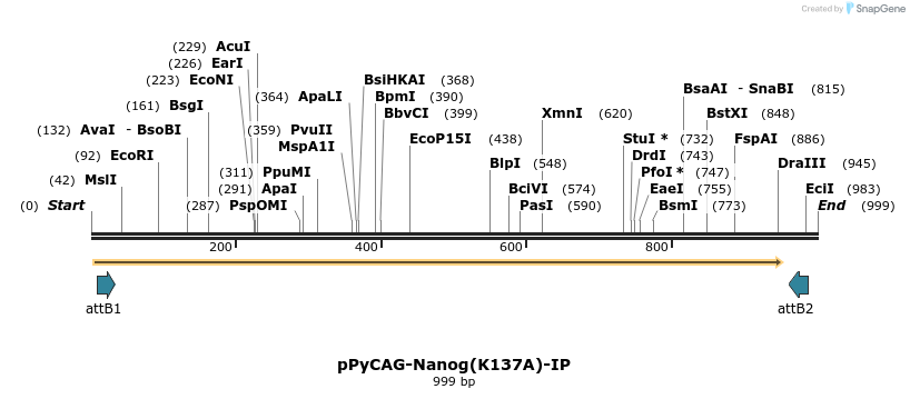 107898_map