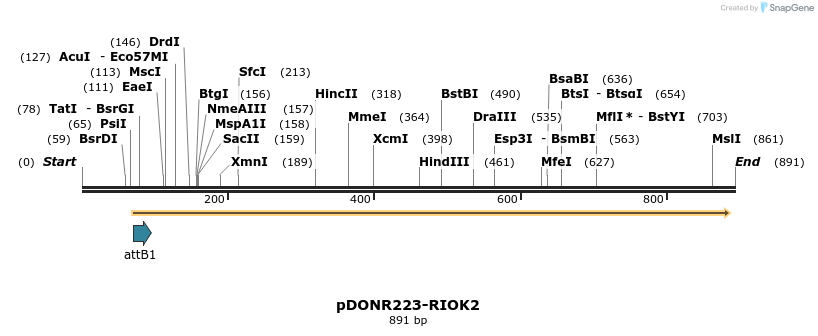 10790_map
