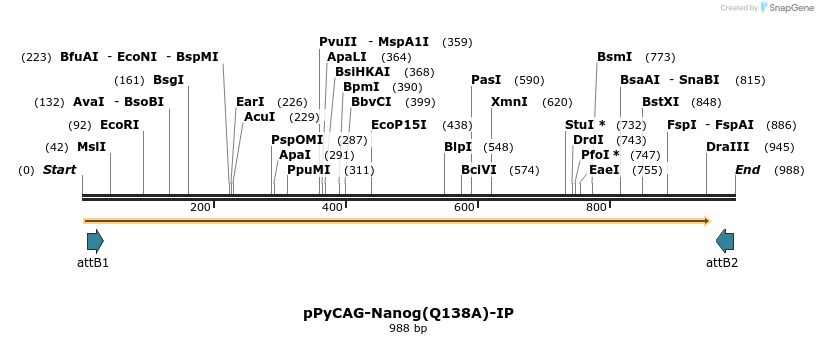 107900_map