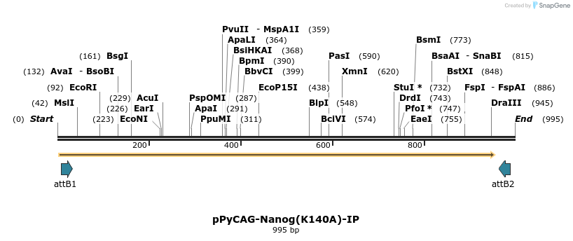 107905_map