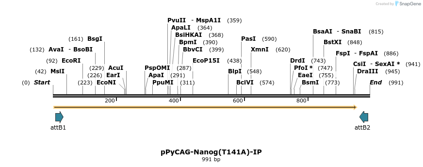 107909_map