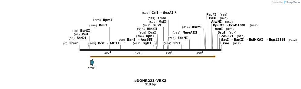 10791_map
