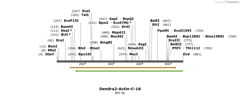 107912_map