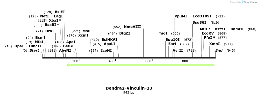 107913_map