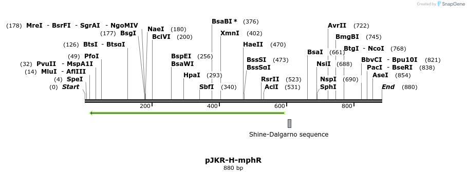 107916_map