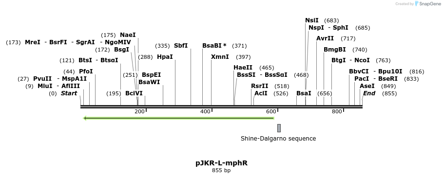 107919_map
