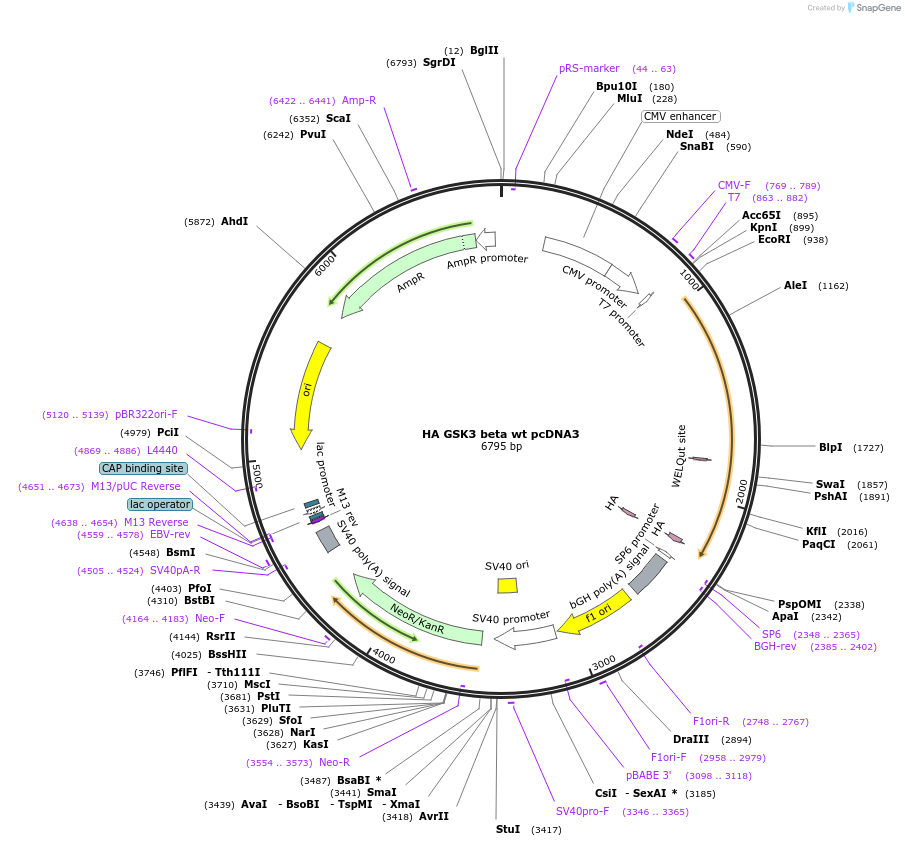 107928_map