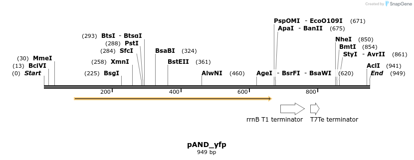 107930_map