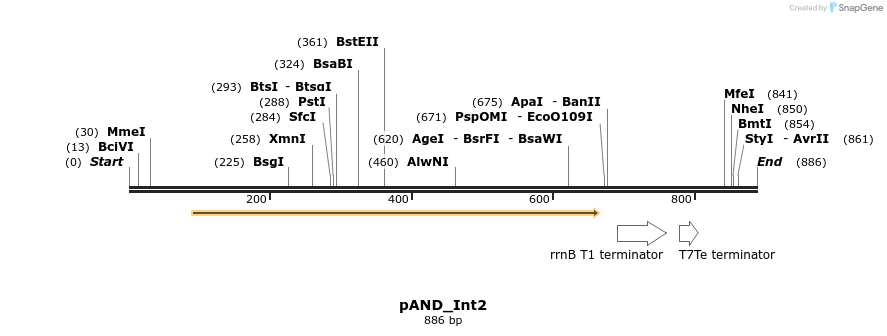 107931_map