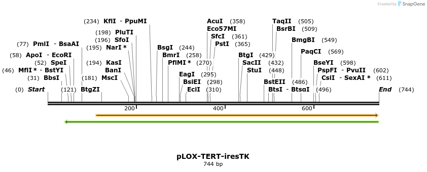 107936_map
