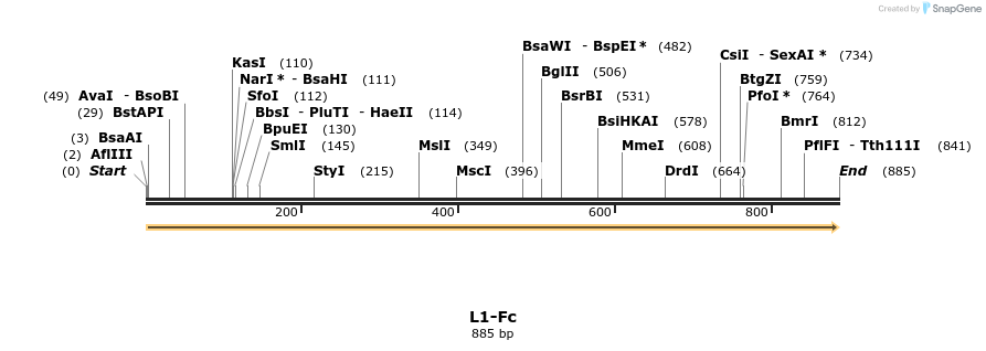 107938_map