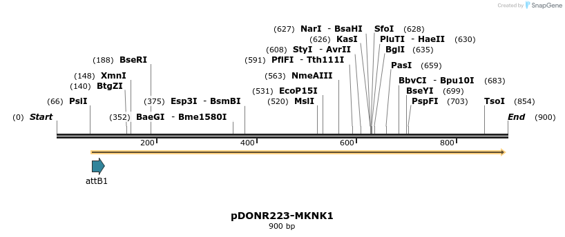 10794_map