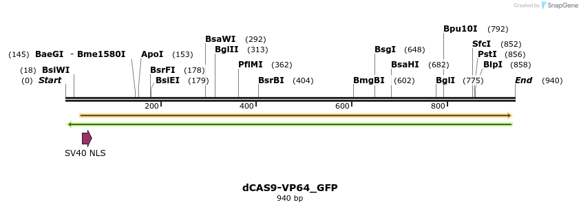 107942_map