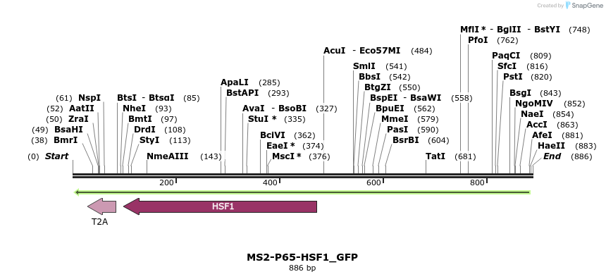 107943_map