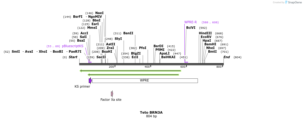 107953_map