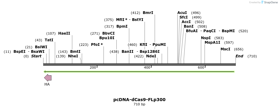 107974_map