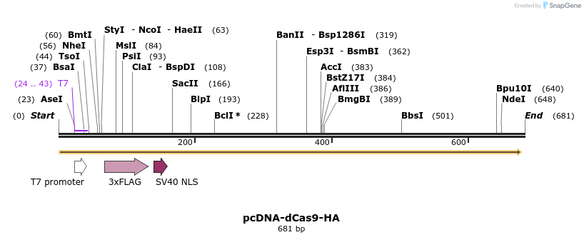 107975_map