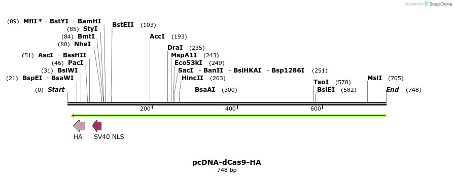 107976_map