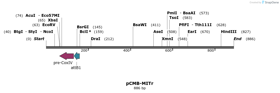 107979_map
