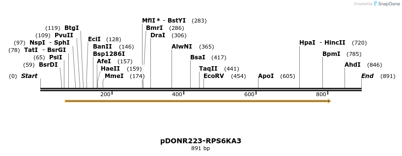 10798_map