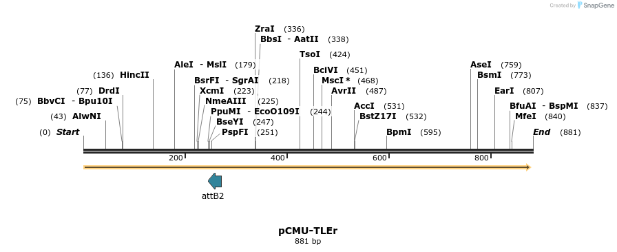 107982_map