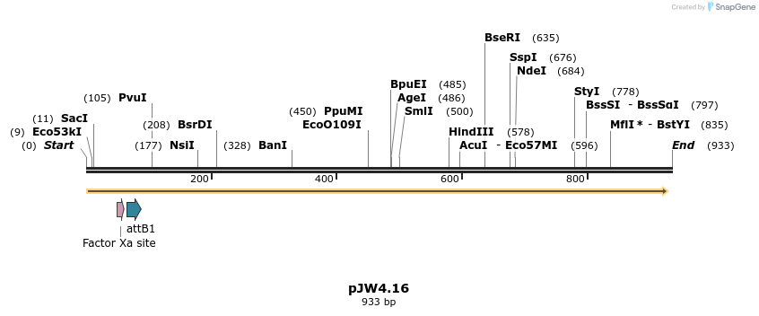 107991_map
