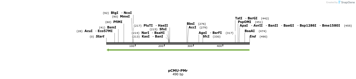 107992_map