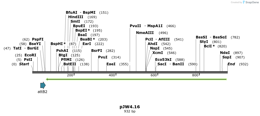 107993_map