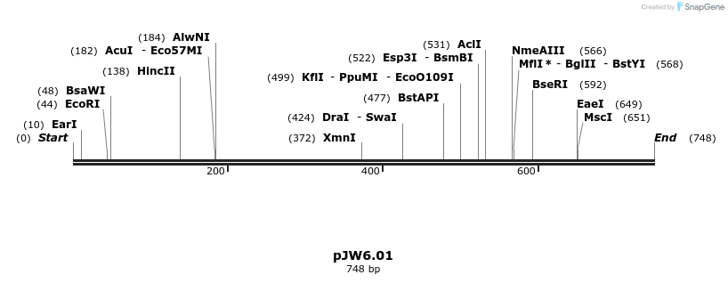 108004_map