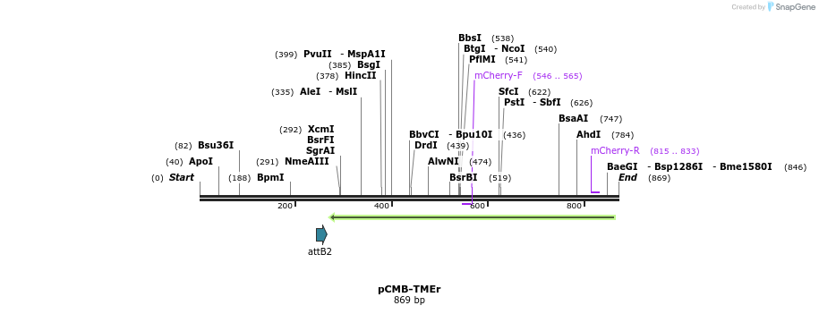 108006_map