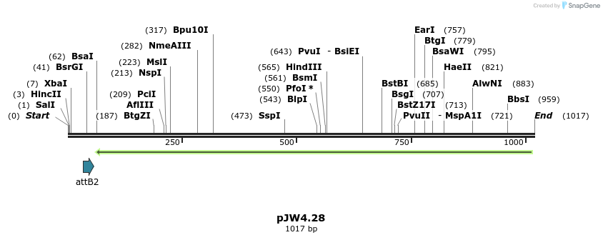 108010_map