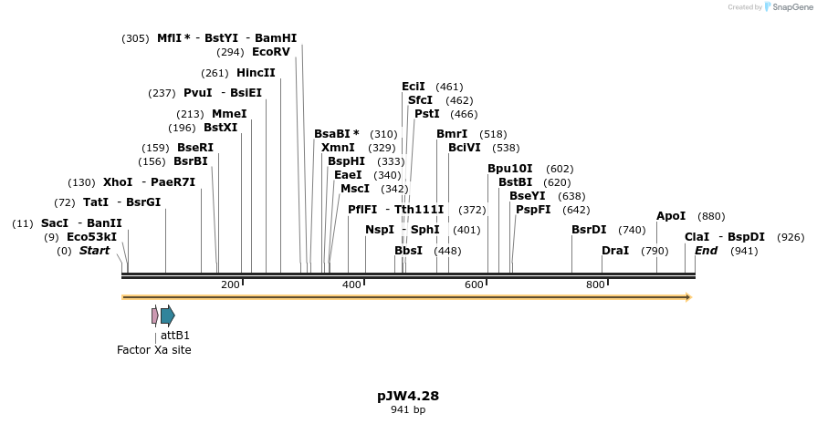 108011_map
