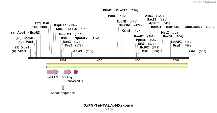 108018_map